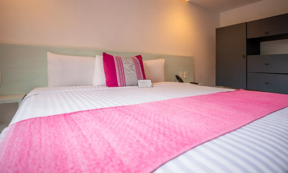 Deluxe King Hotel Fontán Reforma Mexico city Deluxe King Hotel Fontán Reforma Mexico city